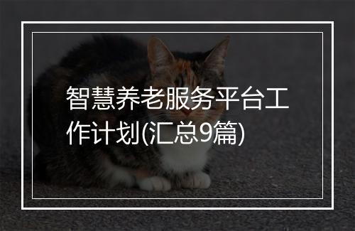 智慧养老服务平台工作计划(汇总9篇)