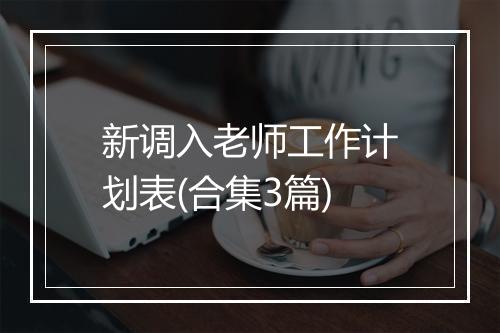 新调入老师工作计划表(合集3篇)