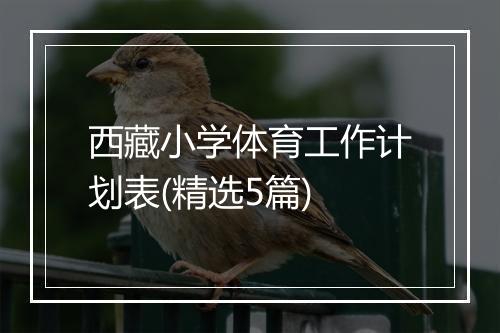 西藏小学体育工作计划表(精选5篇)