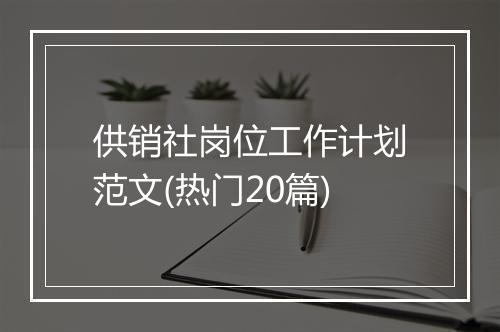 供销社岗位工作计划范文(热门20篇)