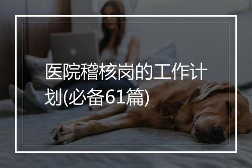医院稽核岗的工作计划(必备61篇)