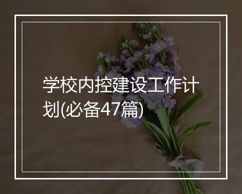 学校内控建设工作计划(必备47篇)
