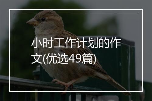 小时工作计划的作文(优选49篇)