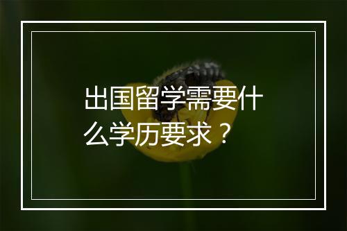 出国留学需要什么学历要求？