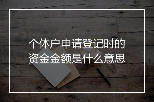 个体户申请登记时的资金金额是什么意思