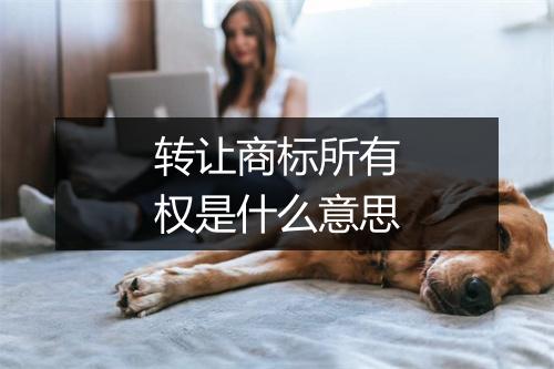 转让商标所有权是什么意思