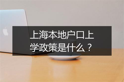上海本地户口上学政策是什么？