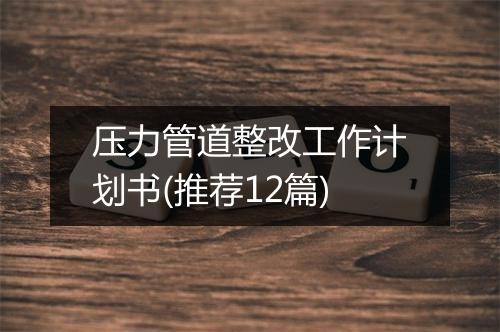 压力管道整改工作计划书(推荐12篇)