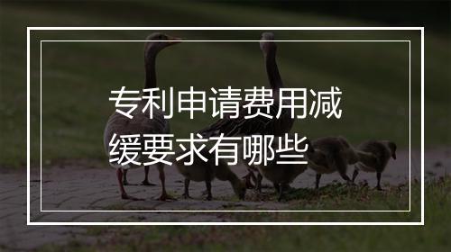 专利申请费用减缓要求有哪些