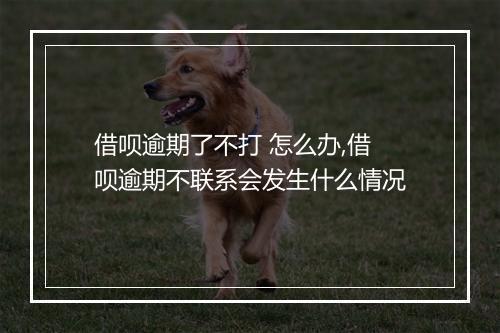 借呗逾期了不打 怎么办,借呗逾期不联系会发生什么情况