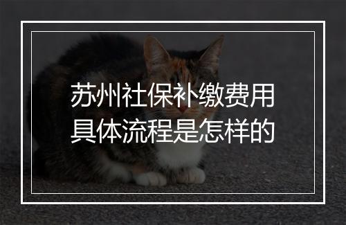 苏州社保补缴费用具体流程是怎样的