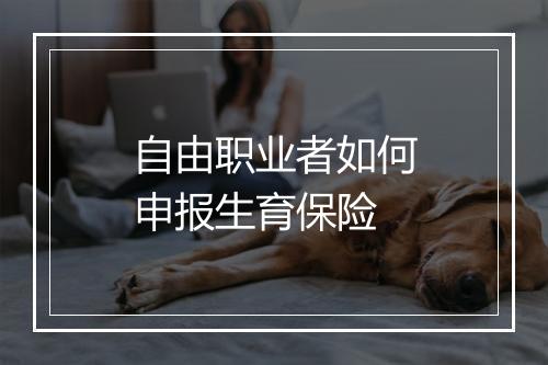 自由职业者如何申报生育保险