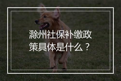 滁州社保补缴政策具体是什么？