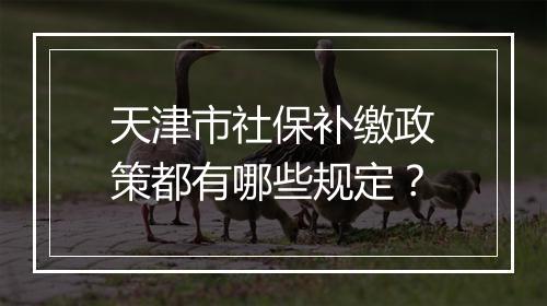 天津市社保补缴政策都有哪些规定？