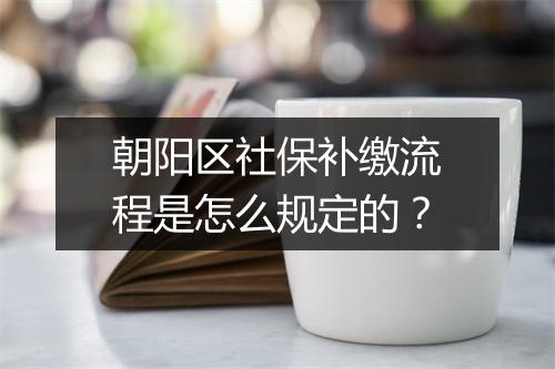 朝阳区社保补缴流程是怎么规定的？