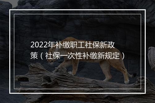 2022年补缴职工社保新政策（社保一次性补缴新规定）