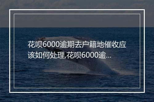 花呗6000逾期去户籍地催收应该如何处理,花呗6000逾期去户籍地催收详细解决方案