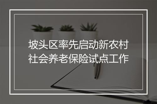 坡头区率先启动新农村社会养老保险试点工作