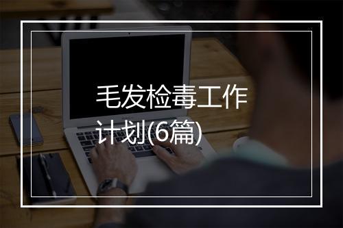 毛发检毒工作计划(6篇)