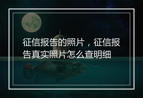 征信报告的照片，征信报告真实照片怎么查明细