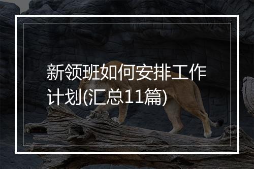 新领班如何安排工作计划(汇总11篇)