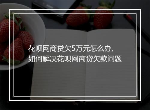 花呗网商贷欠5万元怎么办,如何解决花呗网商贷欠款问题