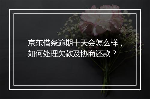 京东借条逾期十天会怎么样，如何处理欠款及协商还款？