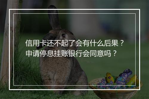 信用卡还不起了会有什么后果？申请停息挂账银行会同意吗？