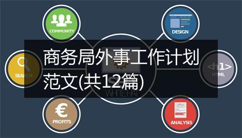 商务局外事工作计划范文(共12篇)