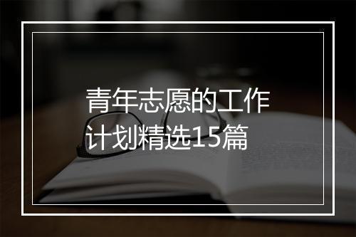 青年志愿的工作计划精选15篇