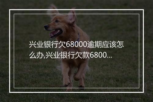 兴业银行欠68000逾期应该怎么办,兴业银行欠款68000逾期还款方案
