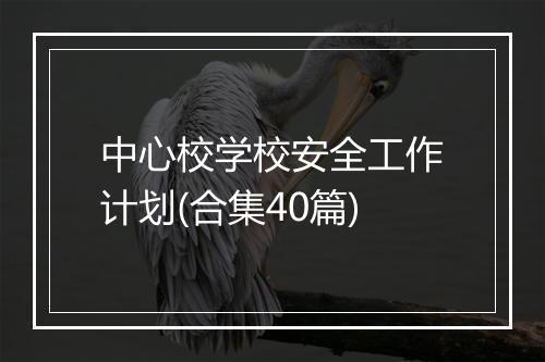 中心校学校安全工作计划(合集40篇)