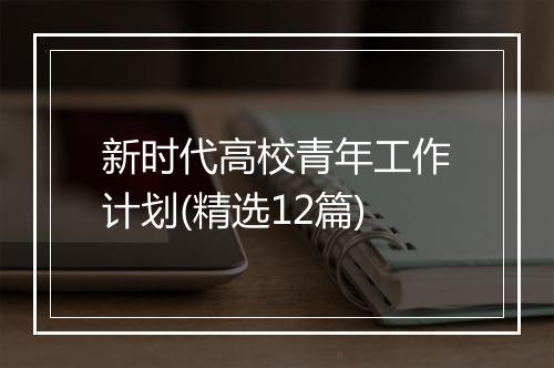 新时代高校青年工作计划(精选12篇)
