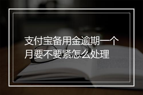 支付宝备用金逾期一个月要不要紧怎么处理