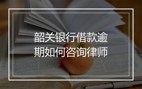 韶关银行借款逾期如何咨询律师