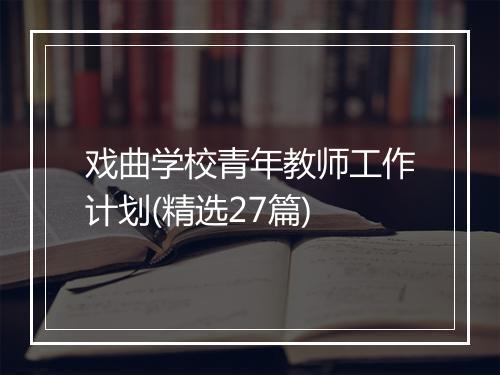 戏曲学校青年教师工作计划(精选27篇)