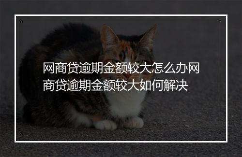 网商贷逾期金额较大怎么办网商贷逾期金额较大如何解决