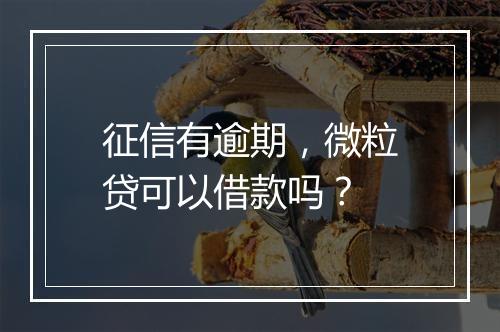 征信有逾期，微粒贷可以借款吗？
