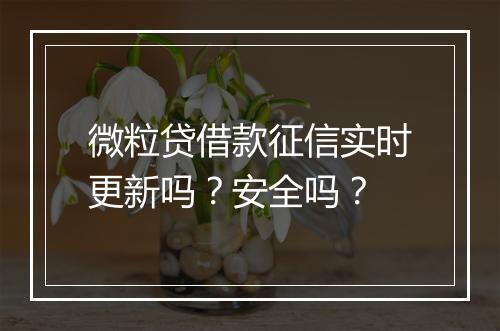 微粒贷借款征信实时更新吗？安全吗？