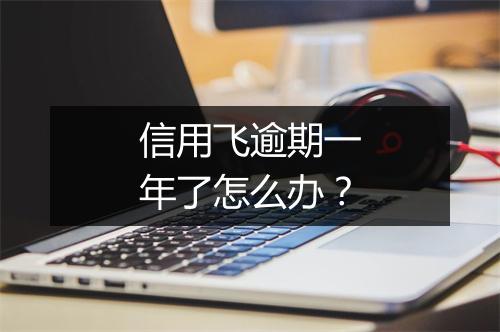信用飞逾期一年了怎么办？