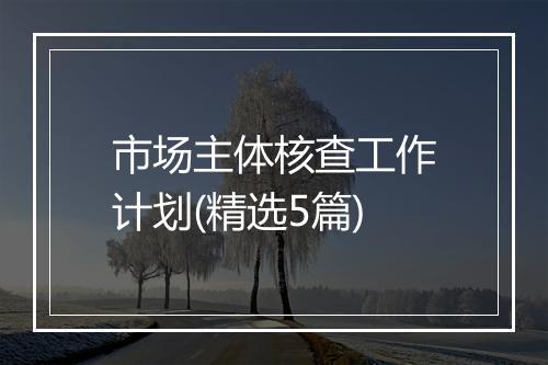 市场主体核查工作计划(精选5篇)