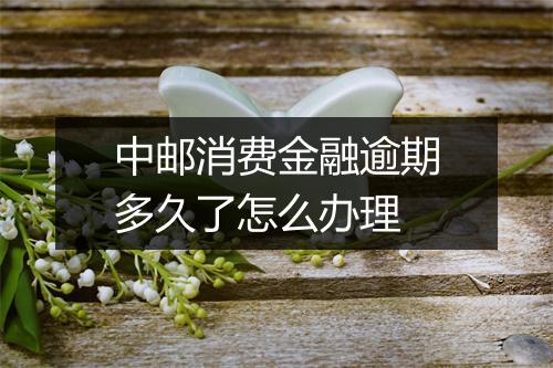 中邮消费金融逾期多久了怎么办理