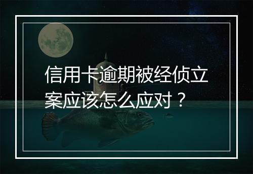 信用卡逾期被经侦立案应该怎么应对？