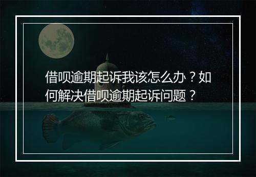 借呗逾期起诉我该怎么办？如何解决借呗逾期起诉问题？