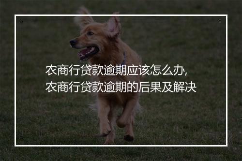 农商行贷款逾期应该怎么办,农商行贷款逾期的后果及解决