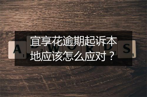 宜享花逾期起诉本地应该怎么应对？