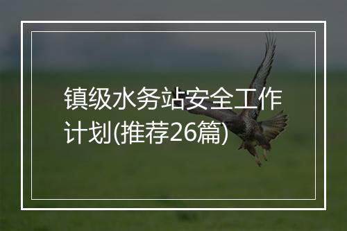 镇级水务站安全工作计划(推荐26篇)