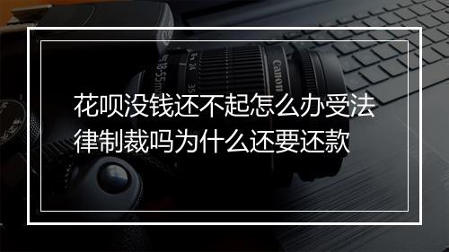 花呗没钱还不起怎么办受法律制裁吗为什么还要还款