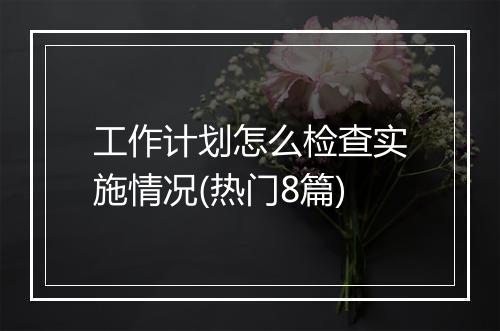 工作计划怎么检查实施情况(热门8篇)