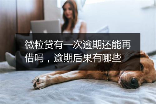 微粒贷有一次逾期还能再借吗，逾期后果有哪些